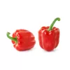 Seemnesegu Seklos LT PNOS — Magusa paprika seemned, pakendis 0,6 g