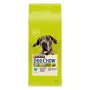 Purina DOG CHOW Large Breed Adult 14 kg Turkey