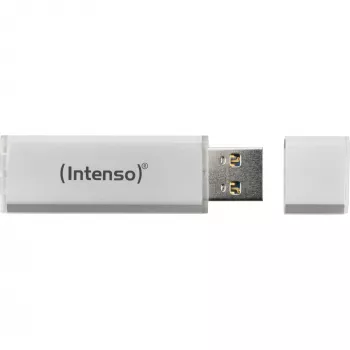 USB-mälupulk Intenso 256 GB USB Type-A 3.2 Gen 1 hõbedane