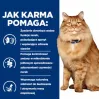 HILL'S PD K/D Kidney + Mobility Chicken - kuiv kassitoit - 3kg