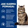 HILL'S PD Gastrointestinal Biome - kuiv kassitoit - 1,5 kg