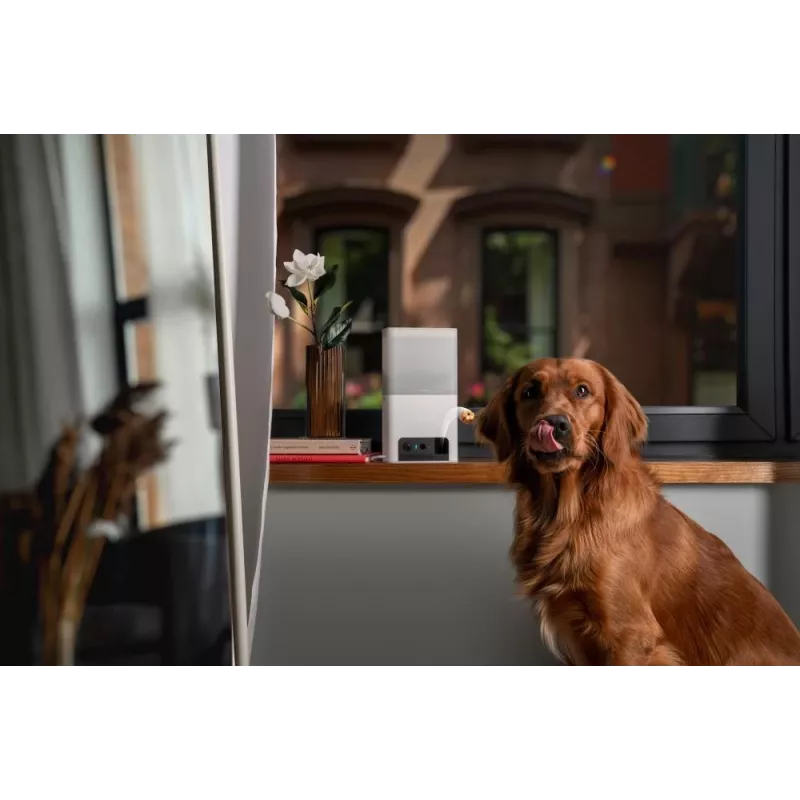 Petcube Camera Bites 2 Lite/BL10US
