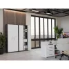 OLIV 2D CLOSED SHELVING UNIT, ANTHRACITE/Valge SET