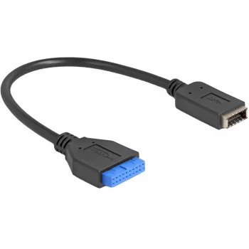 DeLOCK USB-kaabel pin-päisest sisemisele USB Type-E võtmele A 25 cm