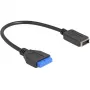 DeLOCK USB-kaabel pin-päisest sisemisele USB Type-E võtmele A 25 cm
