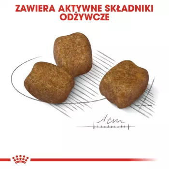 Kuiv koeratoit Royal Canin Mini Dental Care 3 kg — täiskasvanud väikesed tõud, linnuliha, hambahooldus
