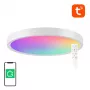 Nutikas laelamp 30 cm WiFi/Bluetooth 16M RGBCW Gosund LB12 1920lm Tuya + kaugjuhtimispult.