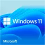 Windows 11 Home, operatsioonisüsteemi tarkvara 64-bitine, saksa keel, USB-mälupulk