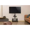 Gembird TVS-75S-02 teleri põrandaalus ratastega, 37–75, must