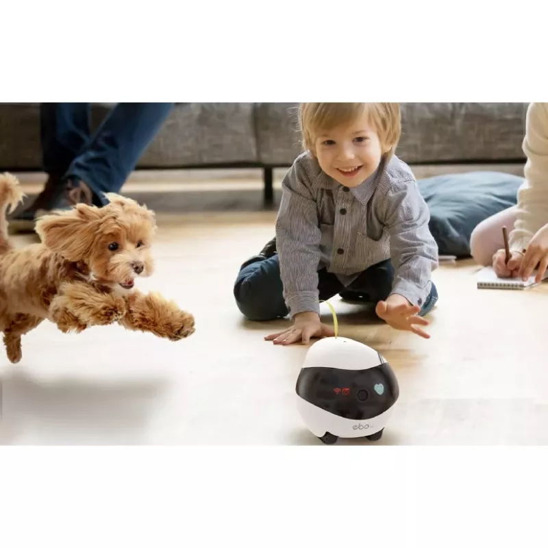 ENABOT Ebo Air AI Robot Valge ja Must