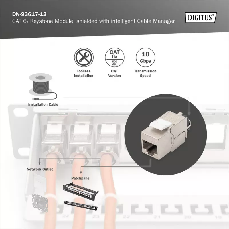 Keystone module DIGITUS CAT 6A varjestatud intelligentse kaablihalduriga, lame RJ-45, 14,5×34,5×21 mm — 12 tk