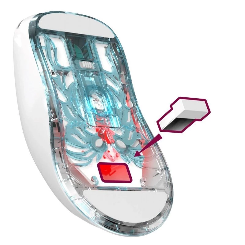 WIRELESS hiir DEFENDER FAME GM-516 RF+BT 10000DPI 6P VALGE