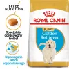 Royal Canin Golden Retriever Puppy kuivtoit koertele, 12 kg