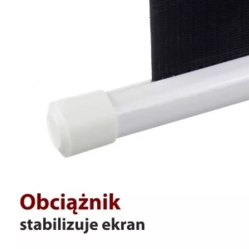 Elektriline ekraan 16:9 119 kaugjuhtimispuldiga 264x147cm FS-119 16 9