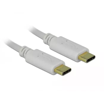 Delock - USB-C / toitekaabel - 24-kontaktiline USB-C (M) kuni 24-kontaktiline USB-C (M) - 5 A - 15cm - USB-toiteallikas (100 W), toetab Power Delivery 2,0 - Valge (85357)