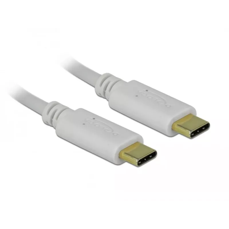 Delock - USB-C / toitekaabel - 24-kontaktiline USB-C (M) kuni 24-kontaktiline USB-C (M) - 5 A - 15cm - USB-toiteallikas (100 W), toetab Power Delivery 2,0 - Valge (85357)