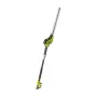 Ryobi RPT4545M kahe teraga 450 W 4,1 kg