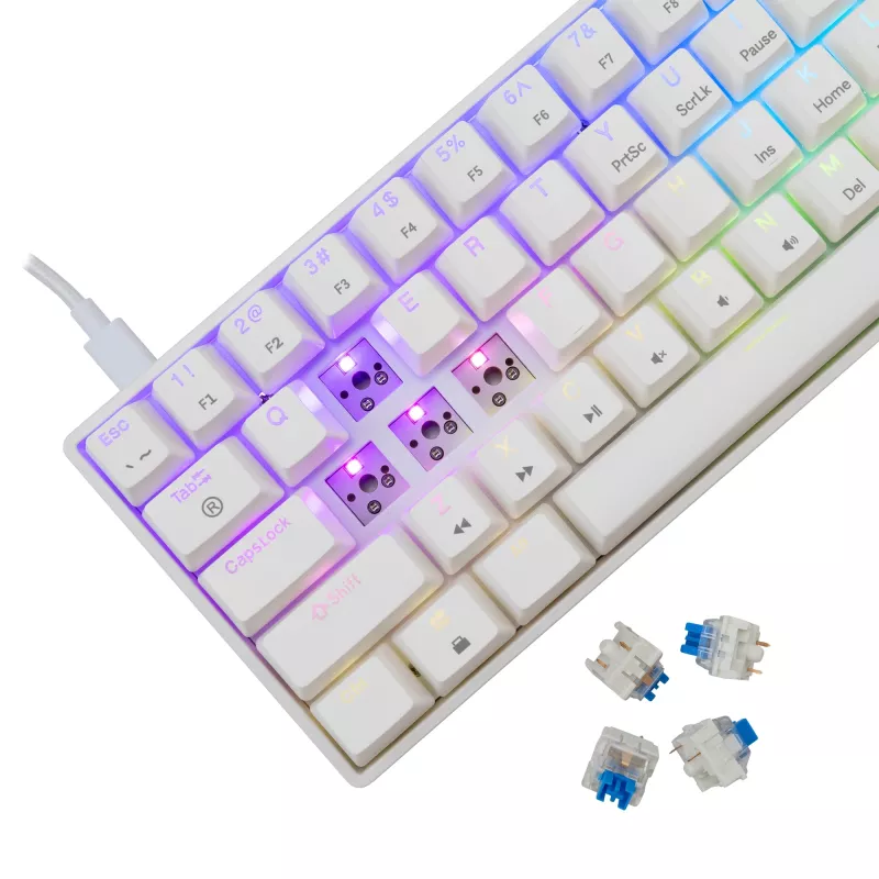 Juhtmega mehaaniline klaviatuur White Shark Shinobi-2 (GK-004221) — sinised lülitid, valge, US paigutus