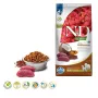FARMINA N&D Quinoa Dog Skin&Coat Venison&Coconut Adult Medium&Maxi - kuiv koeratoit - 7 kg