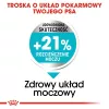 Royal Canin Mini Urinary Care CCN kuivtoit koertele, 3 kg