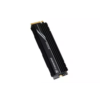 SSD ketas Transcend 2 TB M.2 PCI Express 4.0 NVMe MTE250H