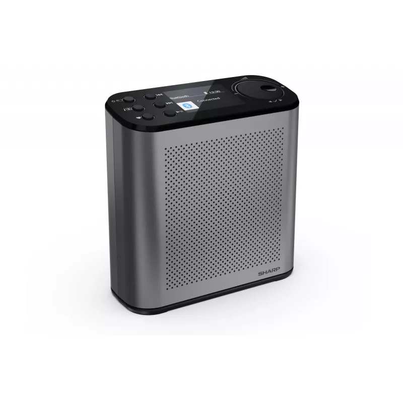 Kaasaskantav digitaalraadio Sharp DR-P530 (OSAKA) USB-pordi, Bluetoothi ja FM-raadioga