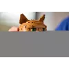 LEGO IDEAS 21376 oranž Cat