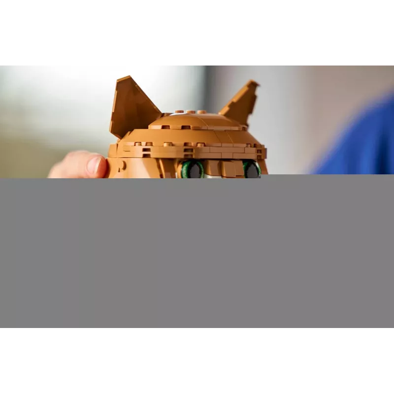 LEGO IDEAS 21376 oranž Cat