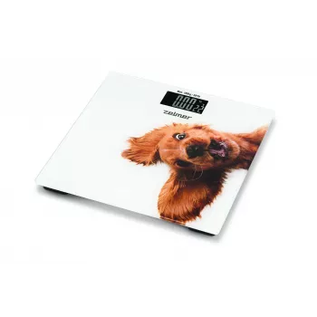 Kaal Zelmer ZBS1010 Valge ZBS1010 Koer ZELMER