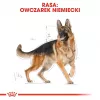 Kuiv koeratoit Royal Canin German Shepherd Adult, 11 kg — suur tõug, linnuliha, 24% valku, 19% rasva