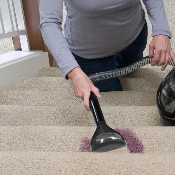 Bissell | Harjariist 6' SpotClean - 15 cm (kott) | Titaan