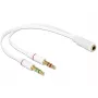 Audio Kaabel DeLOCK 65585 0,2 m 2x3,5 mm Isane kuni 3,5 mm Emane Valge