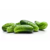 Srem Cucumber F1 Torafi köögiviljaseemned, 5 g pakend
