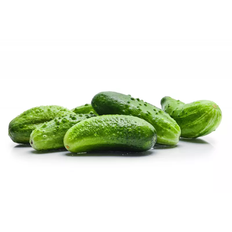 Srem Cucumber F1 Torafi köögiviljaseemned, 5 g pakend