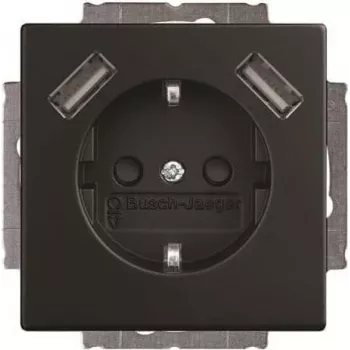 BJ 20 EUCB2USB-885 SCHUKO-/2x USB-pistikupesa (2CKA002011A6279)