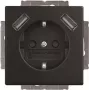 BJ 20 EUCB2USB-885 SCHUKO-/2x USB-pistikupesa (2CKA002011A6279)