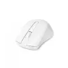 Hiir DICOTA D31659W RF juhtmevaba USB USB-C