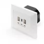 DIGITUS DA-70618 - USB-väljund - USB, USB Type C - 2 USB-porti, 1 USB-C pistikupesa - 3,1 A - RAL 9003, signaalvalge