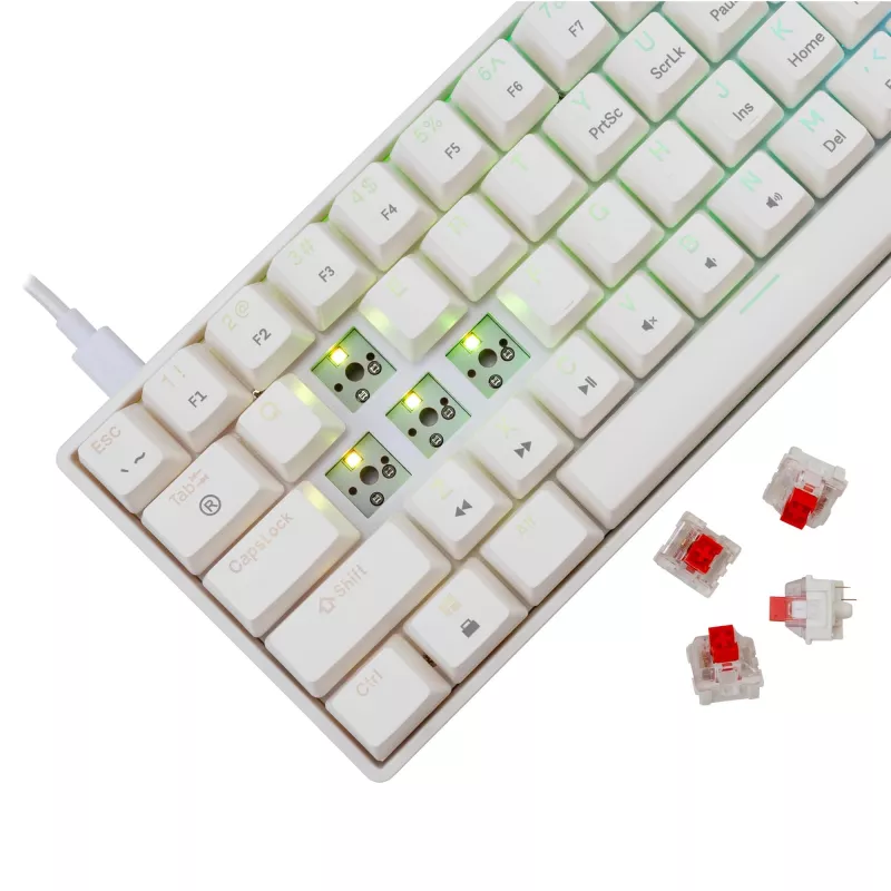 Juhtmega mehaaniline klaviatuur White Shark Shinobi-2 (GK-004211) — USA paigutus, punased lülitid, valge
