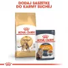 Kuiv kassitoit Royal Canin Bengal Adult 2 kg — linnuliha, 40% valku, 18% rasva, seedimise ja naha hooldus