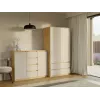 kummut koos 2 uksed ja 4 sahtlid, artisan tamm/kašmiiri värv