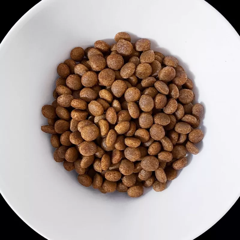 VET RESPONSE Hypoallergenic - kuiv koeratoit - 8kg