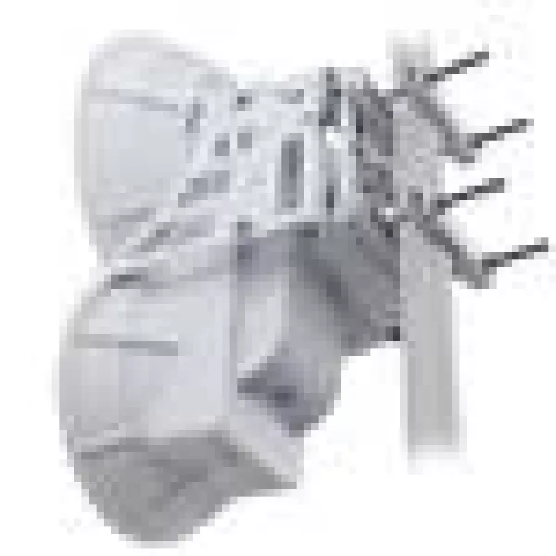 Ubiquiti AirFiber AF-24, 1,4 Gbps+ Backhaul, 24 GHz (hind tüki kohta)