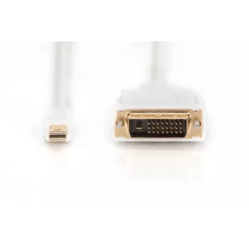 Kaabel DisplayPort 1.1a mini DP-DVI tüüp MM 2,0m