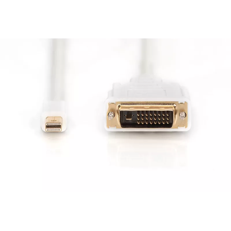 Kaabel DisplayPort 1.1a mini DP-DVI tüüp MM 2,0m