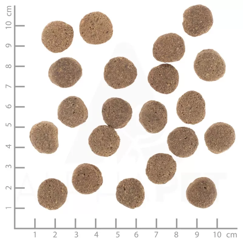 Kuiv koeratoit Wolfsblut VetLine Weight Management Turkey — 12 kg, teraviljavaba, 22% valku, 8% rasva