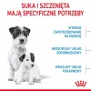 Kuiv koeratoit Royal Canin Starter Mother & Babydog 1 kg — Kana, 30% valku, 22% rasva