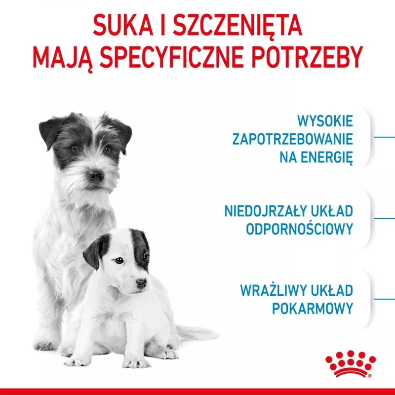 Kuiv koeratoit Royal Canin Starter Mother & Babydog 1 kg — Kana, 30% valku, 22% rasva