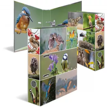 Ringbinder HERMA 19254 A4 Mitmevärviline D-rõngaga hoiustamine 285x315mm