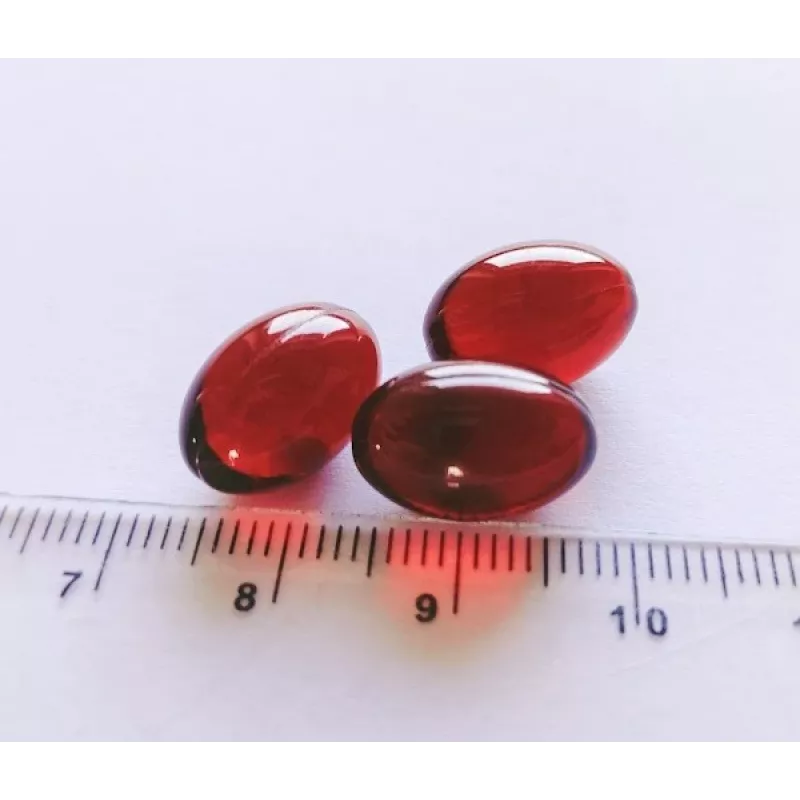 GAME DOG Krill Oil - toidulisandid koertele - 60 tabletti